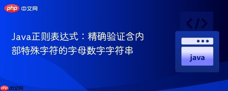 Java正则表达式：精确验证含内部特殊字符的字母数字字符串