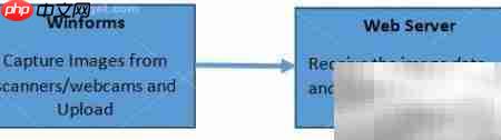 Dynamic .NET TWAIN扫描教程