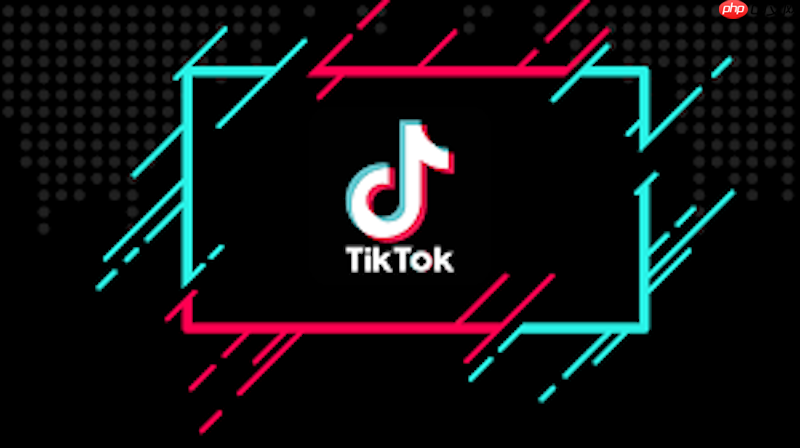 tiktok点赞无法成功怎么办 tiktok点赞功能修复与操作技巧