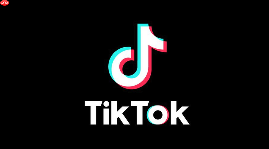 TikTok全球版访问入口_TikTok全球版访问入口进入在线观看 - 创想鸟