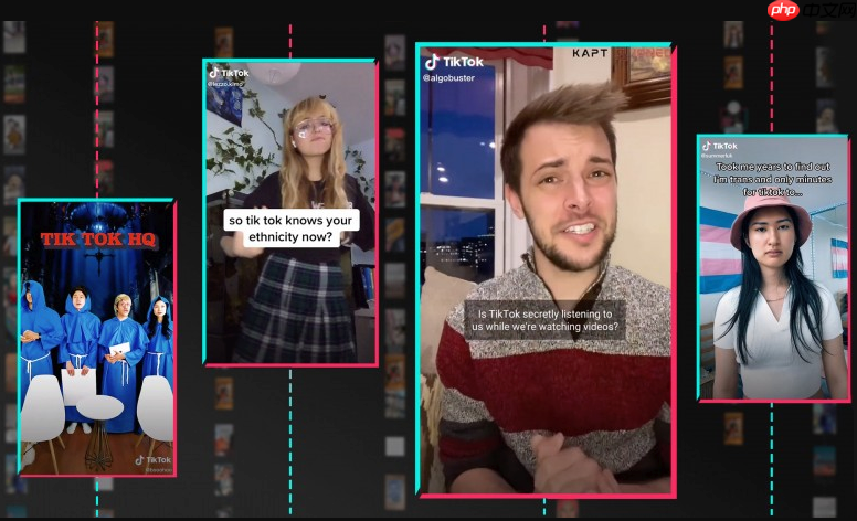 TikTok全球版访问入口_TikTok全球版访问入口进入在线观看 - 创想鸟