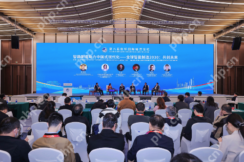 AI越多越好？中国工业机器人探索“有用则灵”的差异化路径