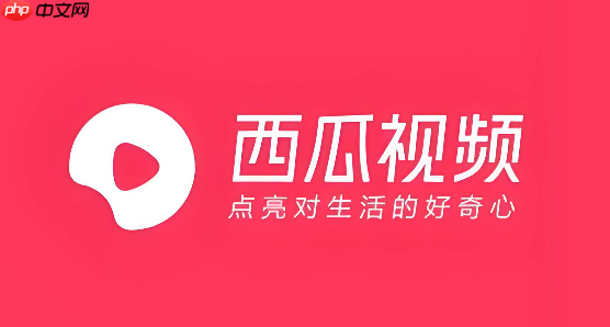 西瓜视频怎么切换账号_西瓜视频账号切换操作指南