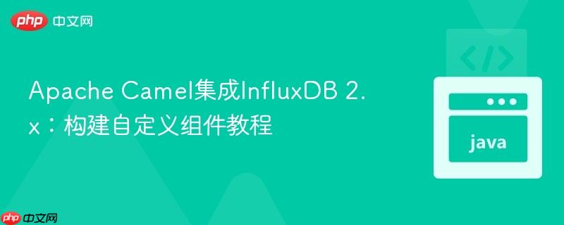Apache Camel集成InfluxDB 2.x：构建自定义组件教程
