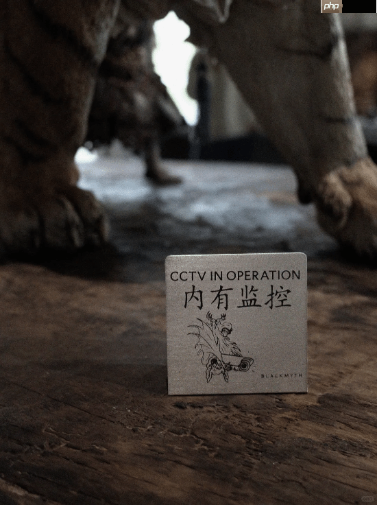 《黑神话》零售店导视大赏：设计太巧妙 你看懂了吗