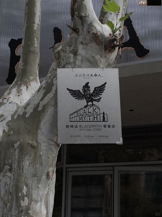 《黑神话》零售店导视大赏：设计太巧妙 你看懂了吗