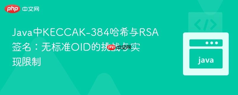 Java中KECCAK-384哈希与RSA签名：无标准OID的挑战与实现限制