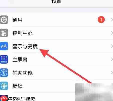 苹果手机调超小字体方法