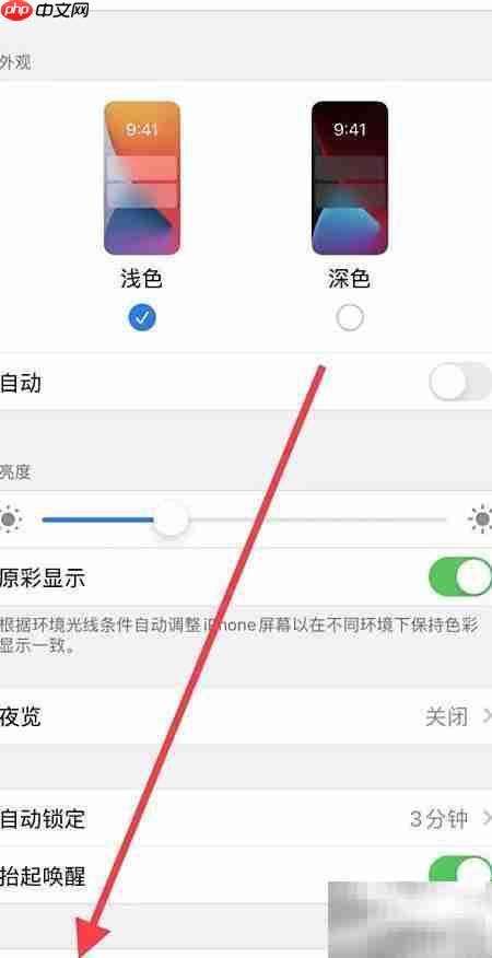 苹果手机调超小字体方法