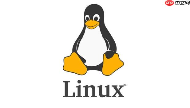 LinuxDNS怎么配置_LinuxDNS配置方法及常见问题解答