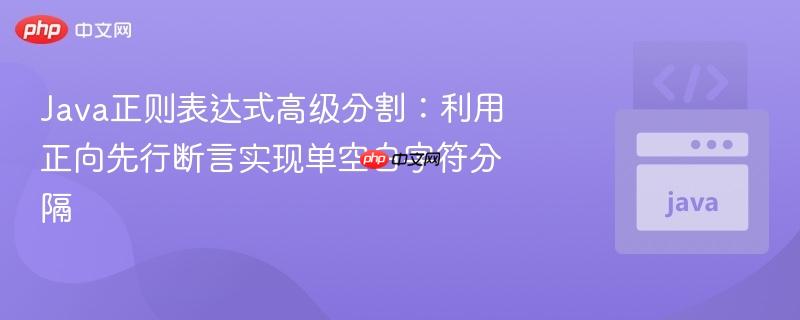 Java正则表达式高级分割：利用正向先行断言实现单空白字符分隔