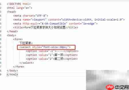 设置form下拉菜单字体大小