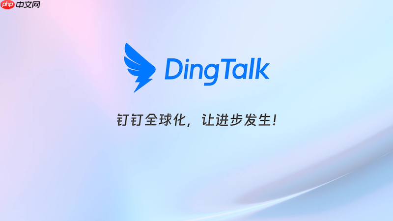 钉钉聊天窗口卡顿怎么办 钉钉聊天界面优化与操作方法
