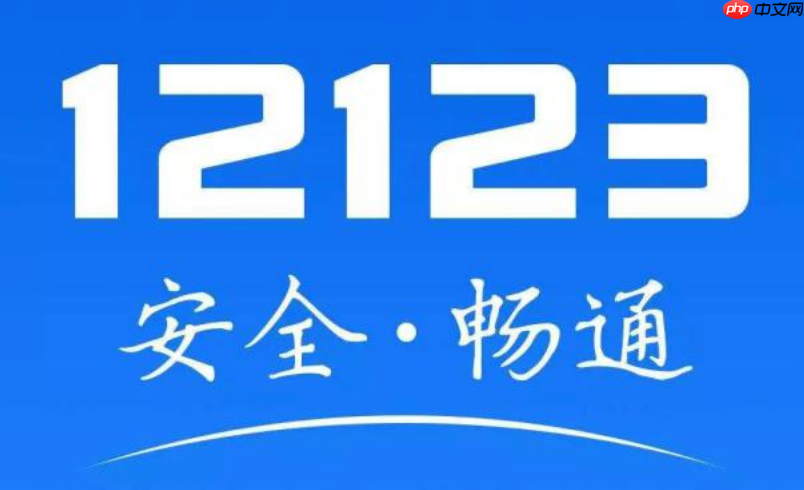 12123官方登录入口 交管12123网页版服务平台