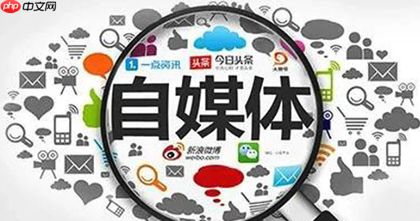 bilibili怎么弹幕赚钱_up主收益与弹幕文化变现