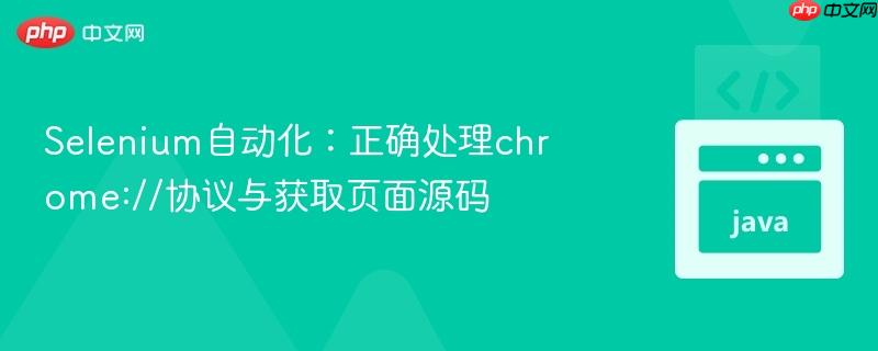 Selenium自动化：正确处理chrome://协议与获取页面源码