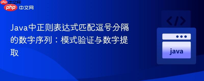 Java中正则表达式匹配逗号分隔的数字序列：模式验证与数字提取