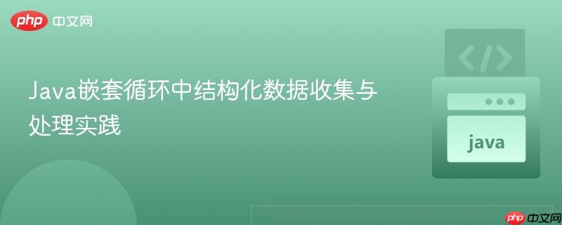 Java嵌套循环中结构化数据收集与处理实践