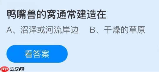 鸭嘴兽的窝通常建造在哪里？蚂蚁庄园课堂今天答案最新11月15日
