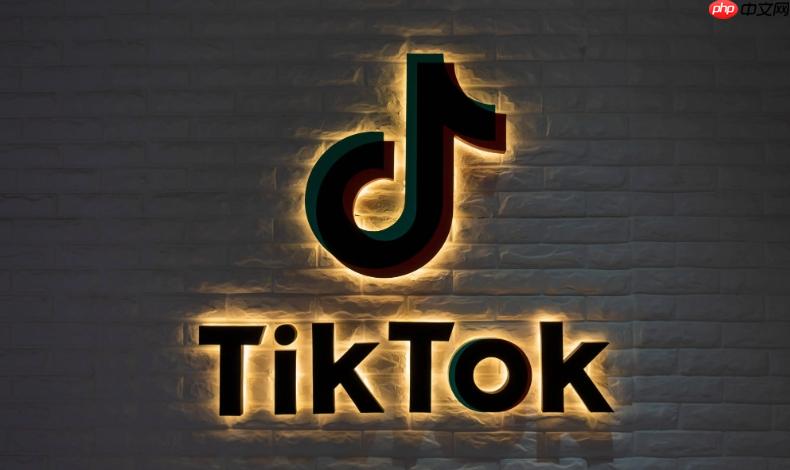 TikTok网页版账号注册入口 TikTok官方登录入口解析