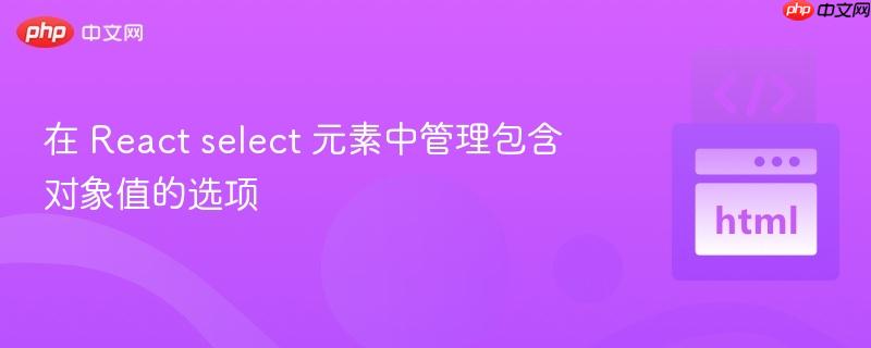 在 React select 元素中管理包含对象值的选项