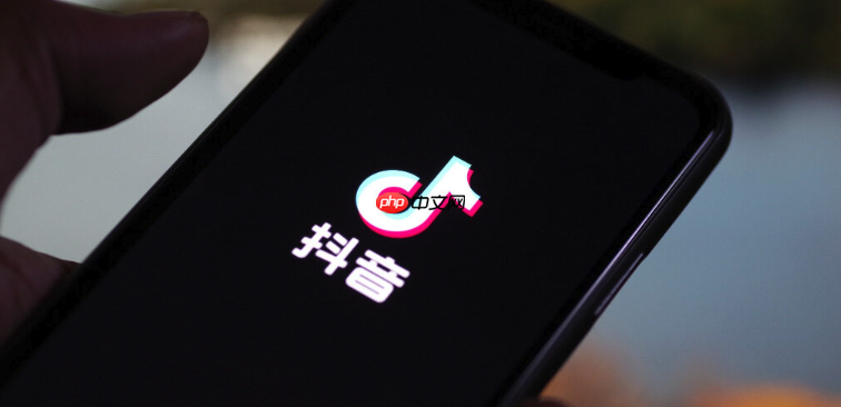 抖音PC端入口网址_浏览器收藏夹一键访问
