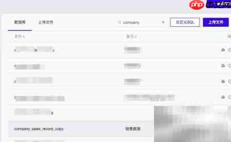 Quick BI 使用指南