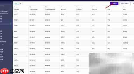 Quick BI 使用指南