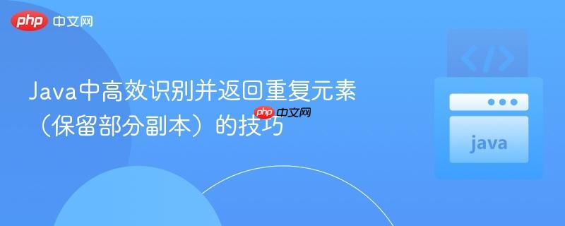 Java中高效识别并返回重复元素（保留部分副本）的技巧