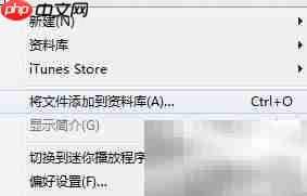 如何将歌曲导入iPod nano
