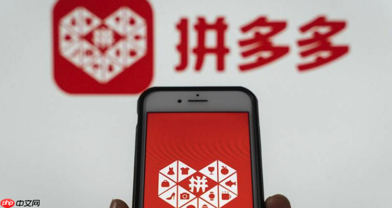 拼多多账号资料修改失败怎么办 拼多多账号资料更新修复技巧