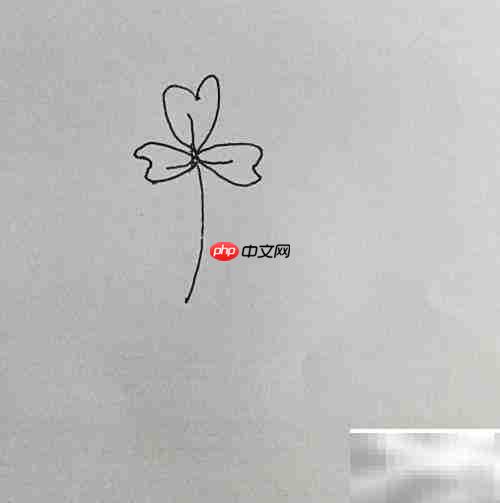 三叶草简笔画教程