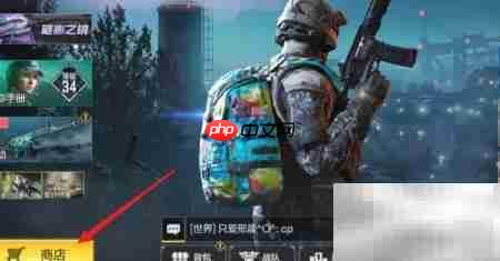FR556谜影之镜获取攻略