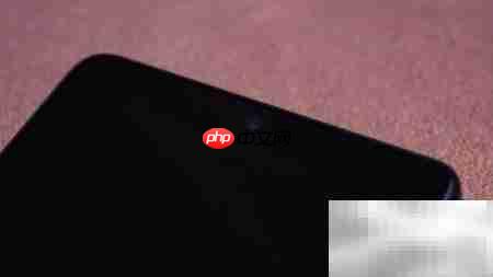 坚果Pro 2开箱体验