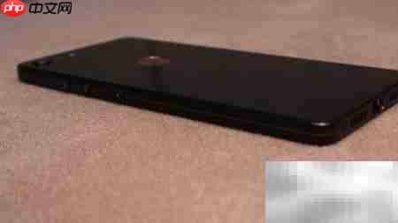 坚果Pro 2开箱体验