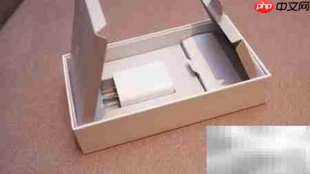 坚果Pro 2开箱体验