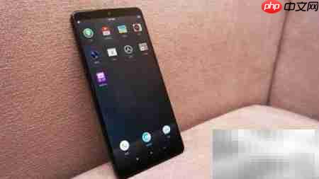 坚果Pro 2开箱体验