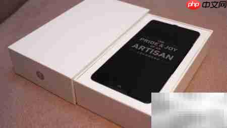 坚果Pro 2开箱体验