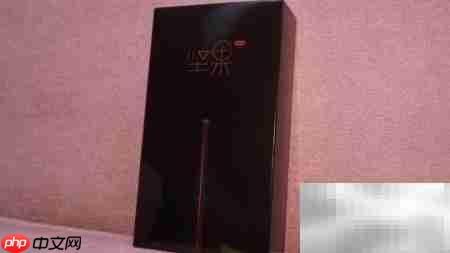 坚果Pro 2开箱体验