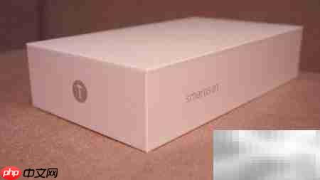 坚果Pro 2开箱体验