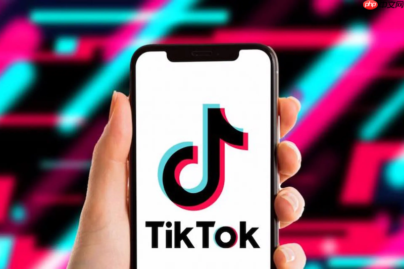 tiktok在线登录链接 tiktok官方网页版登录入口
