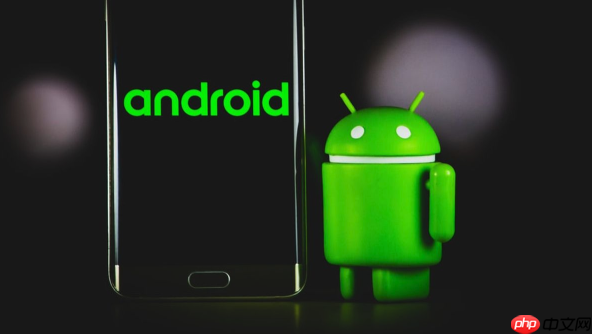 华为 nova 18 pro 应用闪退_华为 nova 18 pro 系统优化方案