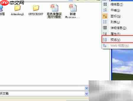 快速预览未打开的Office文件