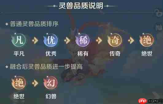 《灵兽大冒险》宠物养成攻略