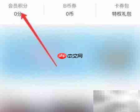 B站会员积分查看方法