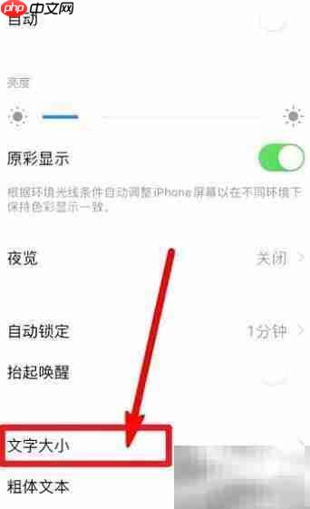 苹果11如何调小字体