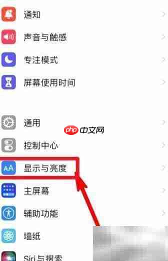 苹果11如何调小字体