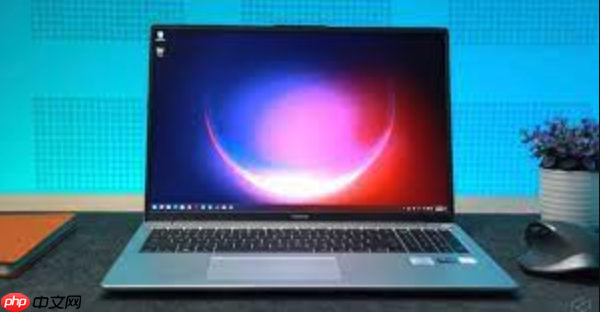 如何为Windows 11配置静态IP地址与DNS服务器