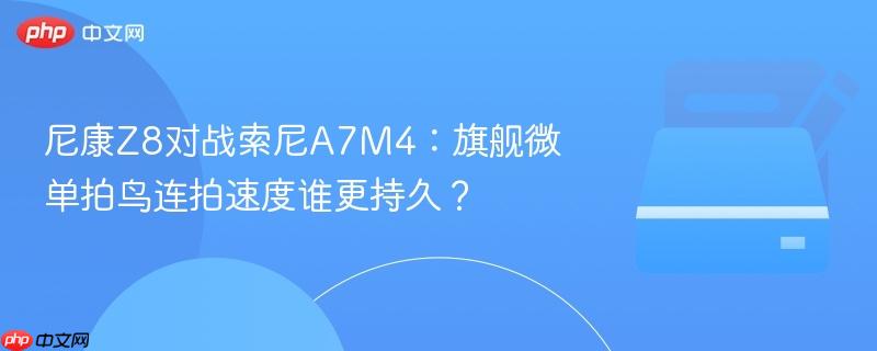 尼康z8对战索尼a7m4：旗舰微单拍鸟连拍速度谁更持久？