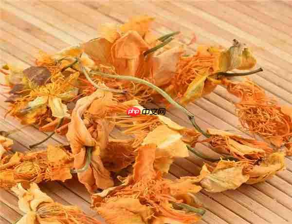 俗话说一莲出九药全身皆是宝说的是以下哪种植物